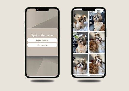 Custom Pholio Card